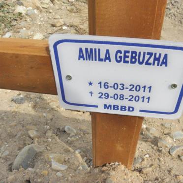 GEBUZHA Amila 2011-2011