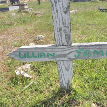 JAMA Lillian