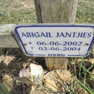 JANTJIES Abigail 2002-2004