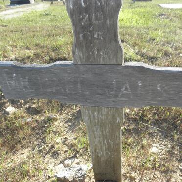 JANSEN Michael ?- 2008