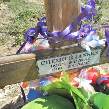 JANSEN Chemice 2011-2011