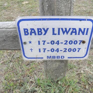LIWANI Baby 2007-2007