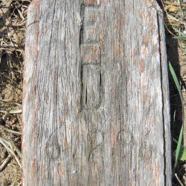 MANO Wilhelmina ?-1996