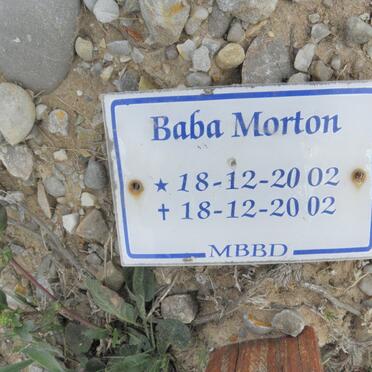 MORTON Baba 2002-2002