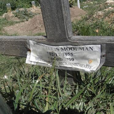 MOOLMAN Emily Ellis 1955-2010