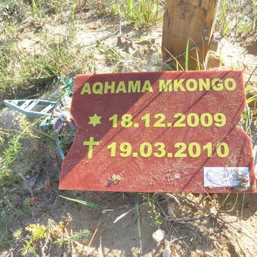 MKONGO Aqhama 2009-2010