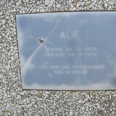 ? Alie 1909-1978