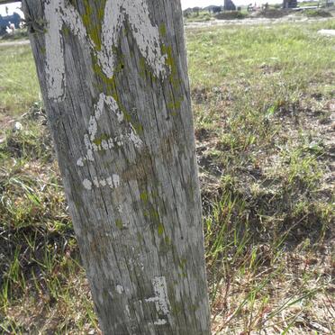 ?MATTH? Pieter 1950-1993