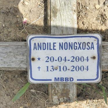 NONGXOSA Andile 2004-2004