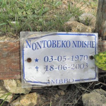 NDISHE Nontobeko 1970-2003