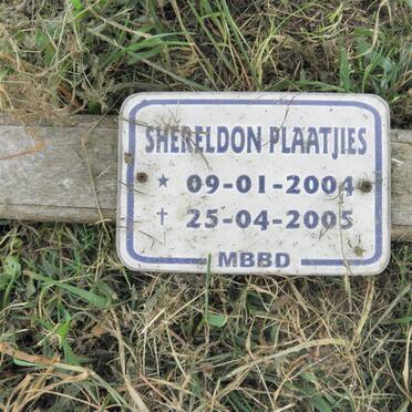 PLAATJIES Shereldon 2004-2005