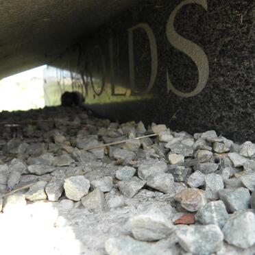 REYNOLDS Peter Jacobus 1924-1992