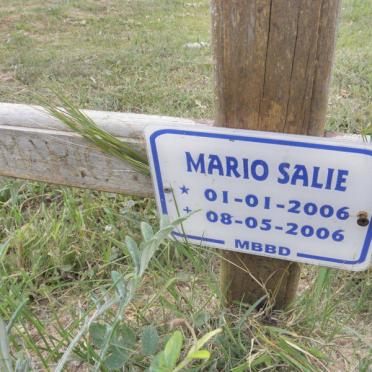 SALIE Mario 2006-2006
