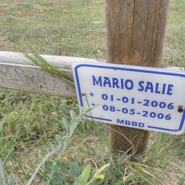 SALIE Mario 2006-2006