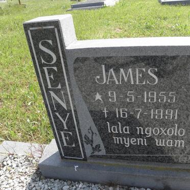 SENYE James 1955-1991