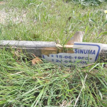 SINUMA ? 1960-2008
