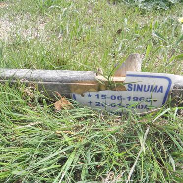 SINUMA ? 1960-2008