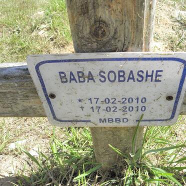 SOBASHE Baba 2010-2010