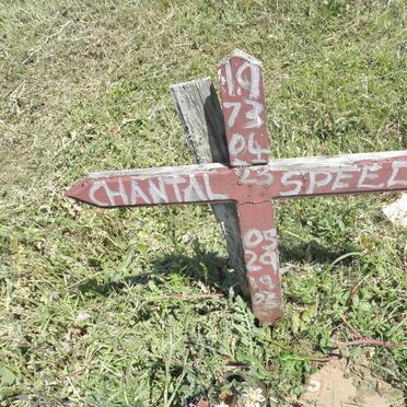 Sp - Surnames starting with the letters Sp