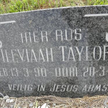 TAYLOR Ileviaah 1990-1990