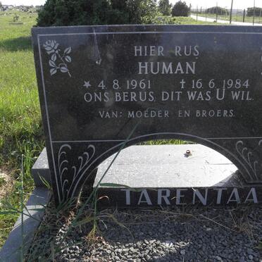 TARENTAAL Human 1961-1984