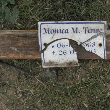 TENGE Monica M. 1968-2003