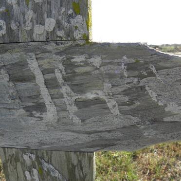 ZYL Jacobus, van ?-?