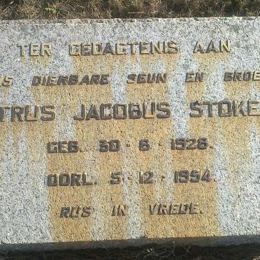 STOKES Petrus Jacobus 1928-1954