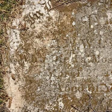 ? LEWIS H.W.W. or WILLIAMS H.W. -1883