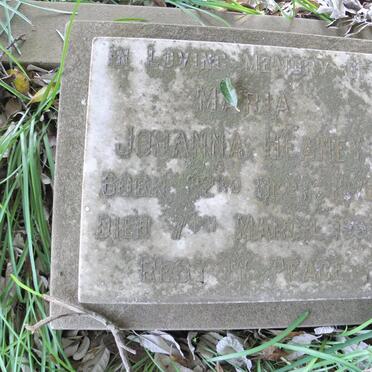 HEANY Maria Johanna 1878-1953