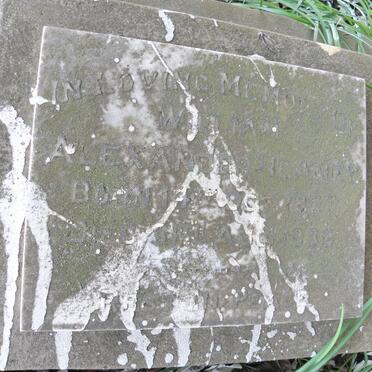 HEANY Alexander 1877-1939