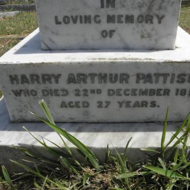 PATTISON Harry Arthur -1896