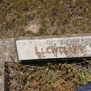 LLEWELLYN