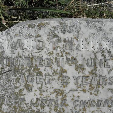 LUXTON Claud F.H. -1898