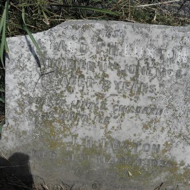 LUXTON Claud F.H. -1898 :: LUXTON W.J.H. -1936