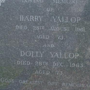 Y - Surnames :: Vanne - Y