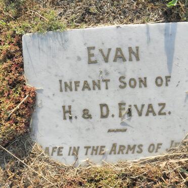 FIVAZ Evan