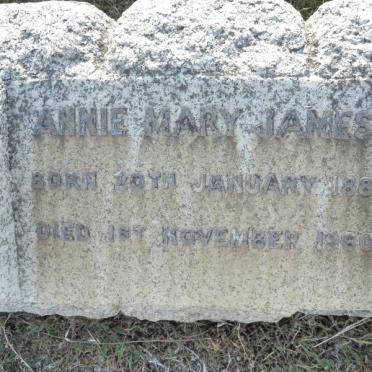 JAMES Annie Mary 1881-1960