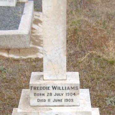WILLIAMS Freddie 1904-1909 :: VAN RYNEVELD Ellen 1895-1904 :: WILLIAMS Elizabeth nee van RYNEVELD 1879-1908