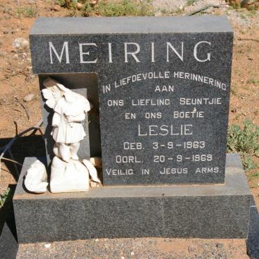 MEIRING Leslie 1963-1969