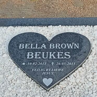 BEUKES Bella Brown 2013-2013