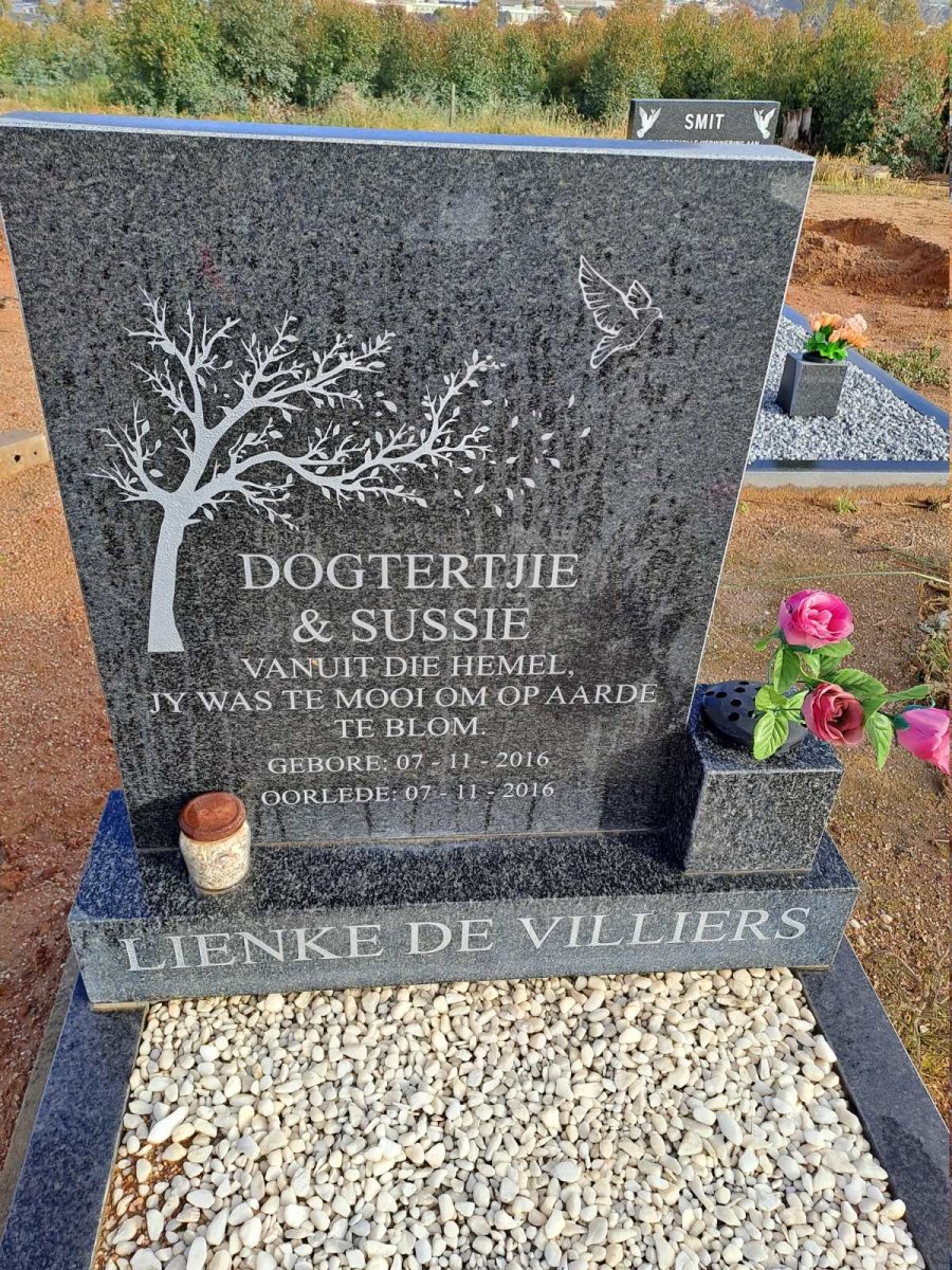 VILLIERS Lienke, de 2016-2016