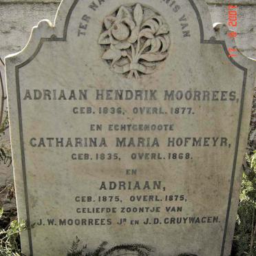 MOORREES Adriaan Hendrik 1836-1877 &amp; Catharina Maria HOFMEYR 1835-1868 :: MOORREES Adriaan 1875-1875