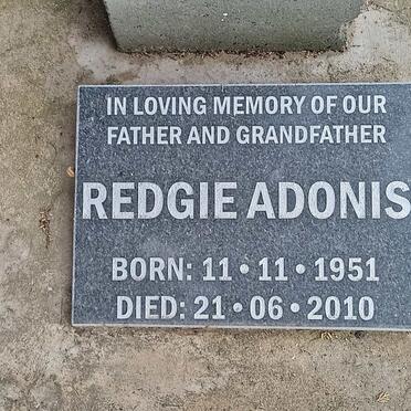 ADONIS Redgie 1951-2010