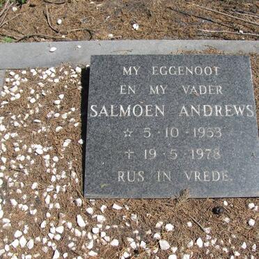 ANDREWS Salmoen 1953-1978