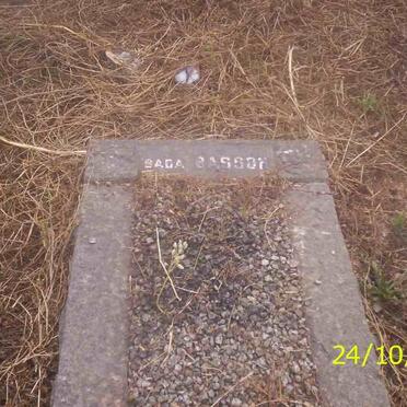 BASSON Baba