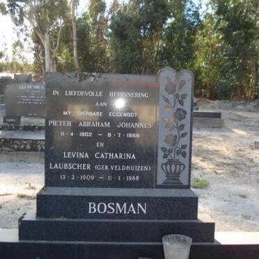 BOSMAN Pieter Abraham Johannes 1902-1966 &amp; Levina Catharina Laubscher VELDHUIZEN 1909-1988