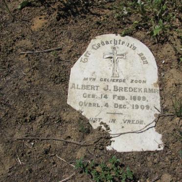 BREDEKAMP Albert J. 1889-1909