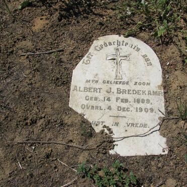 BREDEKAMP Albert J. 1889-1909