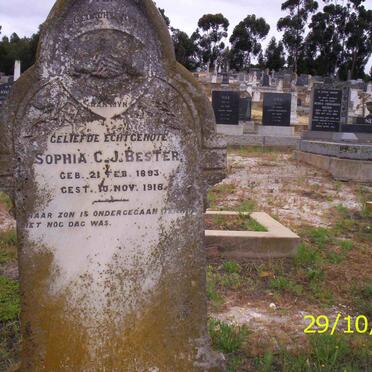BESTER Sophia C.J. 1893-1918